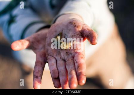 Child holding in hand Limax maximus, also known as the great gray slug, tiger slug and leopard slug. slug is pest that can cause serious damage to agr Stock Photo