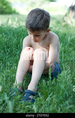 Portrait of preschool boy sitting on grass with fresh bleeding wound on knee. child fell, scratched skin on knee, hurt, upset. Children injuries in su Stock Photo