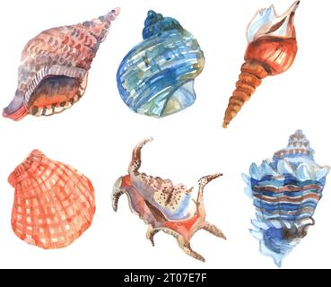 Watercolor shell starfish cockleshells decorative icons set isolated vector illustration Stock Vector