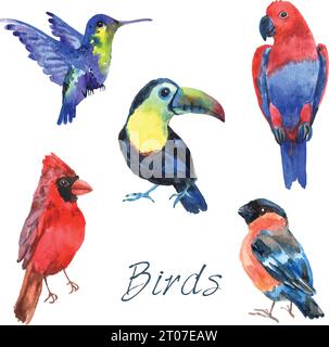 Tropical rainforest parrot birds with beautiful plumage and curved beaks watercolor pictograms collection abstract isolated vector illustration Stock Vector