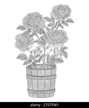 bouquet of roses in wooden vase, vintage engraving drawing style vector illustration Stock Vector