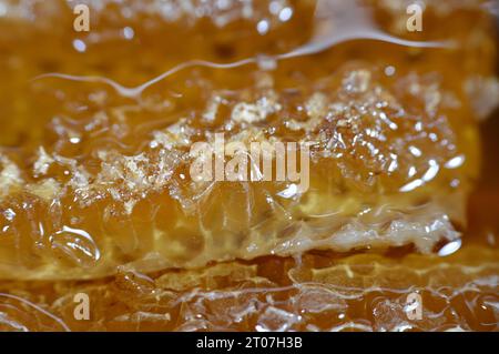 Hexagonal honeycomb cells with honey that hold the queen bee's eggs and store the pollen and honey the worker bees bring to the hive, mass of prismati Stock Photo