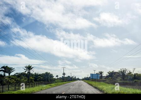 View of an asphalt road with trees on both sides. Rural and agricultural area. Blue sky with clouds in the background. Stock Photo