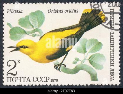 The Eurasian golden oriole (Oriolus oriolus), also called the common golden oriole, in Russian 'иволга'. 'Птицы – защитники леса' (Birds – Guardians of the Forest). Postage stamp issued in the USSR in 1979. Stock Photo