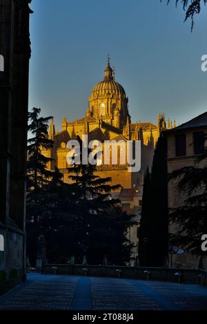 The dome of the New Cathedral of Salamanca in sunrise hues from Plaza del Concilio de Trento on New Year's Eve 2017, Salamanca, Spain Stock Photo