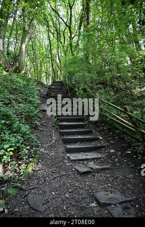 Around the UK - A view of Fairy Glen, Appley Bridge, West Lancashire, UK . A Biological Heritage Site Stock Photo