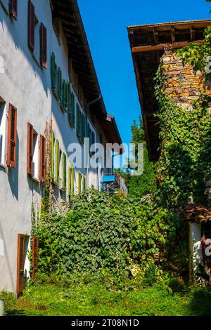 Old Building And a Chaos in the Patio with Plants in a Sunny Summer Day in Brusino Arsizio, Ticino, Switzerland Stock Photo