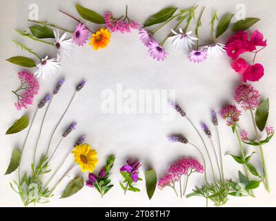 Floral frame, freshly picked garden flowers including lavender, osteospermum, valerian, bougainvillea, gazanias and bay leaves, isolated on background Stock Photo