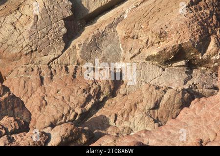 Close-up of a rocky outcrop, ideal for use as a background - John Gollop Stock Photo