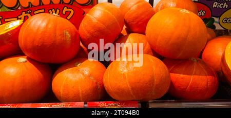 Jakarta, Indonesia - September 24 2023 : Various types of Orange pumpkins are displayed beautifully in modern markets. Stock Photo