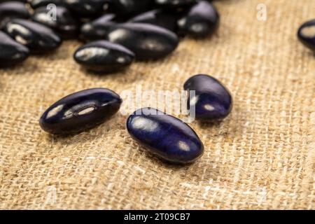 Large black bean grains scattered on burlap, macro photo. Stock Photo