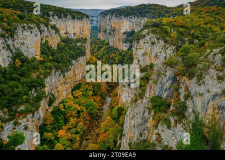 Breathtaking view of mountains and valley covered with mixed forest trees against blue sky with white cloud Stock Photo