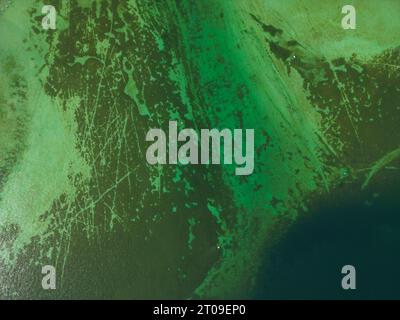 Drone view of full frame reservoir with green water and sludge on bottom in sunlight Stock Photo