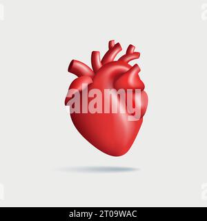 3d realistic vector human heart illustration. Anatomically correct heart with venous system, isolated shape Stock Vector