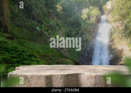 Wood Table Top Podium Floor In Outdoors Green Tropical Forest Nature 