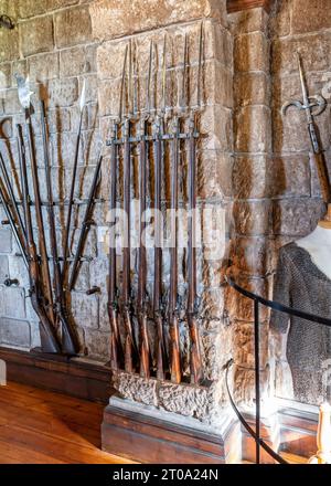 Set of 6 medieval flintlock rifles with bayonets on display in Bamburgh Castle, Bamburgh, Northumberland, UK on 25 September 2023 Stock Photo