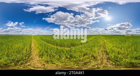 360 degree panoramic view of spherical 360 hdri panorama among green grass farming field with clouds on blue sky with sun in equirectangular seamless projection, use as sky replac