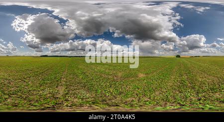 360 degree panoramic view of spherical 360 hdri panorama among green grass farming field with storm clouds on blue sky in equirectangular seamless projection, use as sky dome repl