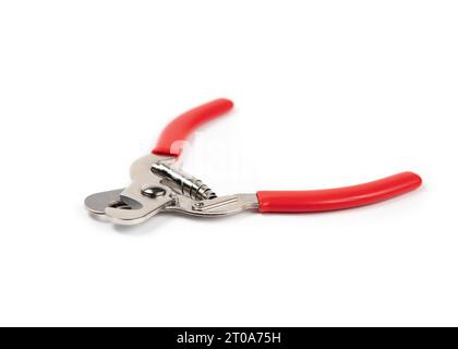 Isolated dog nail clippers, pet claw clippers or guillotine clippers. Perspective view. Pet grooming tool used to cut nails or claws on dogs or cats. Stock Photo