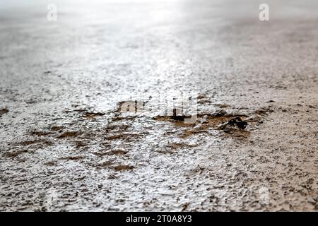 Driveway surface damage. Roadway grunge texture. Close up of bubbling or blistering parking level with elastomeric traffic deck coating. In need of re Stock Photo