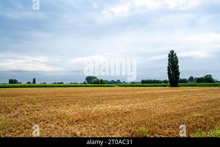 Farmland after harvest of the cereals Stock Photo - Alamy