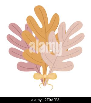 Three autumn leaves of acorn, fall foliage bouquet of oak, color vector atmospheric illustration in boho style Stock Vector