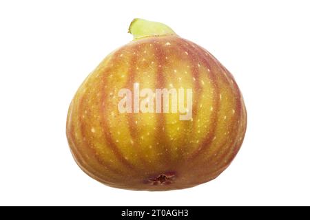 fig fruit isolated on white background Stock Photo