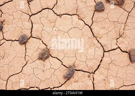 dried ground in the desert with mudcracks and rocks Stock Photo
