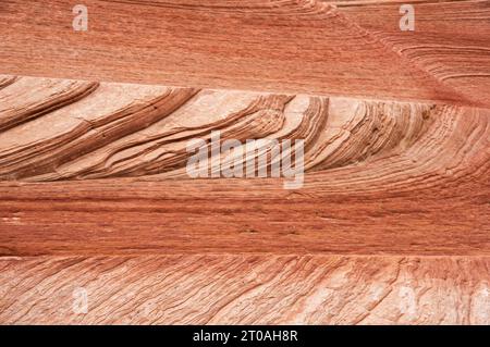 cross bedded red sandstone in Zion National Park Stock Photo