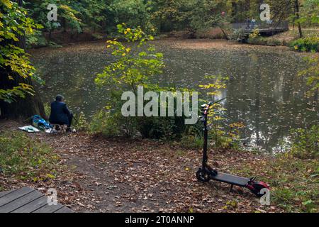 Autumn pond with yellow leaves on the surface of the water in the park in fall Stock Photo