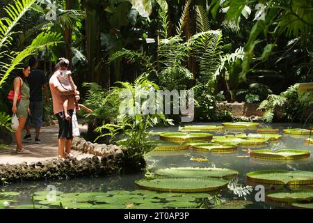Visitors enjoys on the lake with Water lily leaves (Victoria Regia), Nymphaeaceae, of public park and Natural History Museum Emilio Goeldi (1866) in Belém on October 5, 2023 Amazon region north of Brazil. The city of Belém, which will be the future host of the 30th UN Conference (COP 30) on climate change, will discuss environmental preservation in 2025. (Photo by Paulo Amorim/Sipa USA) Credit: Sipa USA/Alamy Live News Stock Photo