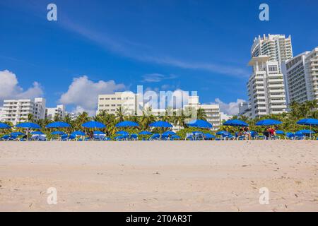 View of Miami's sandy beach with blue sunbeds and umbrellas, set against white buildings, all under blue sky with fluffy clouds. Miami Beach. USA. Stock Photo