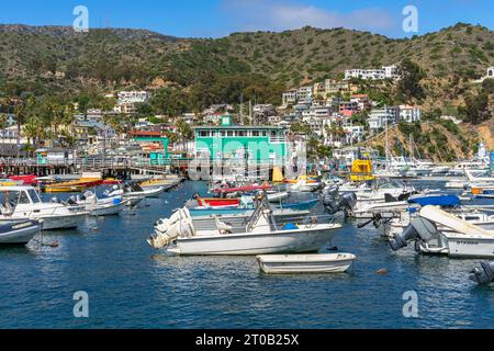 Avalon, CA, USA - September 13, 2023: Boats in the harbor with homes on a hill in the Santa Catalina Island town of Avalon, California. Stock Photo