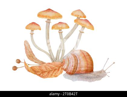 Summer honey fungus, dried leaves, linden tree seeds, snail. Watercolor hand drawn realistic botanical illustration. Forest mushrooms for eco goods Stock Photo