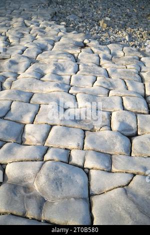 Rock Formation at Lavenock Point Beach near Penarth South Wales UK Stock Photo