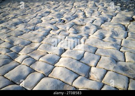 Rock Formation at Lavenock Point Beach near Penarth South Wales UK Stock Photo