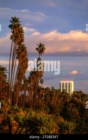 Santa Monica Palisades Park at sunset with palm trees and apartment building, Los Angeles, California,USA Stock Photo