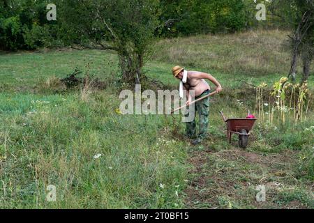 A farmer in the countryside uses a hoe to harvest potatoes, placing them in a handcart on a warm summer day Stock Photo