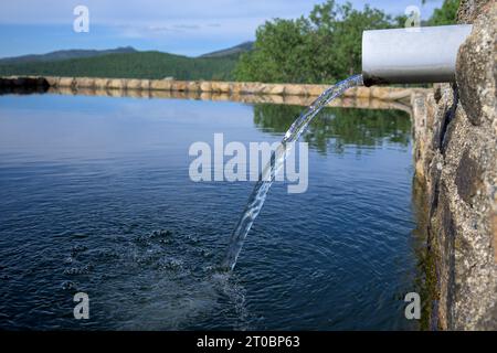 Stream of crystal clear water flowing from fresh fountain in pond in the middle of nature to hydrate Stock Photo