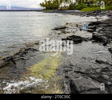 Tide Pools on The Volcanic Shoreline on Kiholo Bay Beach, Hawaii Island, Hawaii, USA Stock Photo