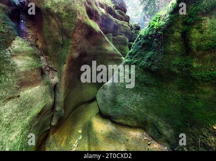 Pivnice sandstone canyon in Czech republic, Vysocina Stock Photo