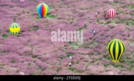 NANJING, CHINA - OCTOBER 6, 2023 - Tourists tour among pink flowers in Nanjing, Jiangsu Province, China, Oct 6, 2023. Stock Photo