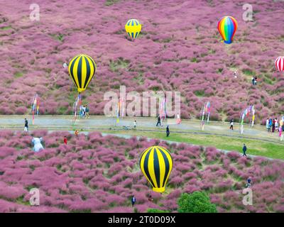 NANJING, CHINA - OCTOBER 6, 2023 - Tourists tour among pink flowers in Nanjing, Jiangsu Province, China, Oct 6, 2023. Stock Photo