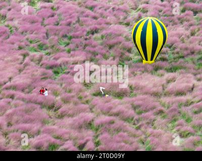 NANJING, CHINA - OCTOBER 6, 2023 - Tourists tour among pink flowers in Nanjing, Jiangsu Province, China, Oct 6, 2023. Stock Photo