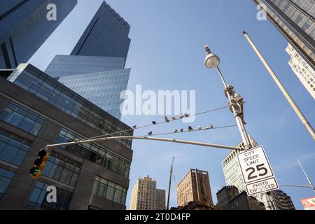 Pigeons perch on a street light amidst towering skyscrapers Stock Photo