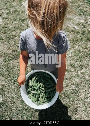 Girl proudly showcases a bucket of fresh harvested garden peas Stock Photo