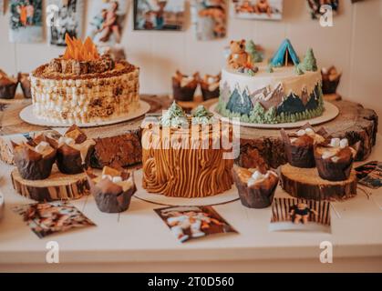 Camping Themed cakes and cupcakes on birthday table Stock Photo