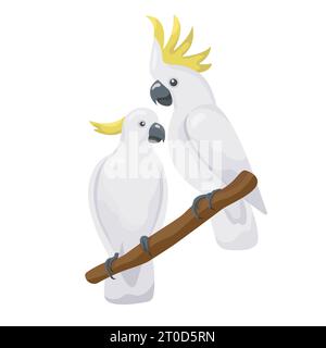 Australian colorful parrots couple. White cartoon cockatoo. Cute flat vector love parrots sitting on a branch isolated on white background. Talking Stock Vector