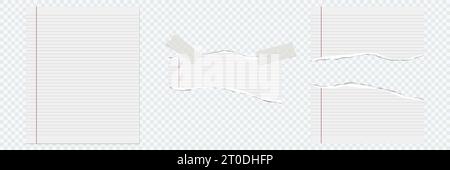 Lined whole sheet of paper and rip pieces. Lined note, notebook paper. Notebook paper pieces with sticky tape stuck on transparent. Blank mockup for p Stock Vector