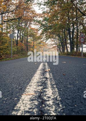 Empty straight rural asphalt road during fall autumn with colorful orange yellow trees and foggy atmosphere road signs morning in Hungary ground level Stock Photo